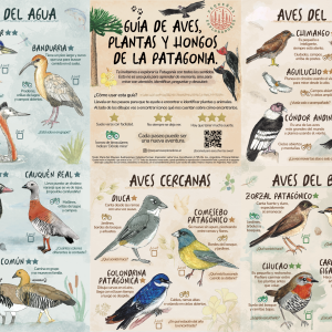 Guía de aves, plantas y hongos de la Patagonia